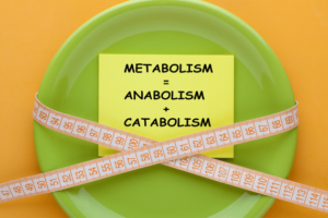 What is the best way to gain weight with a fast metabolism?
